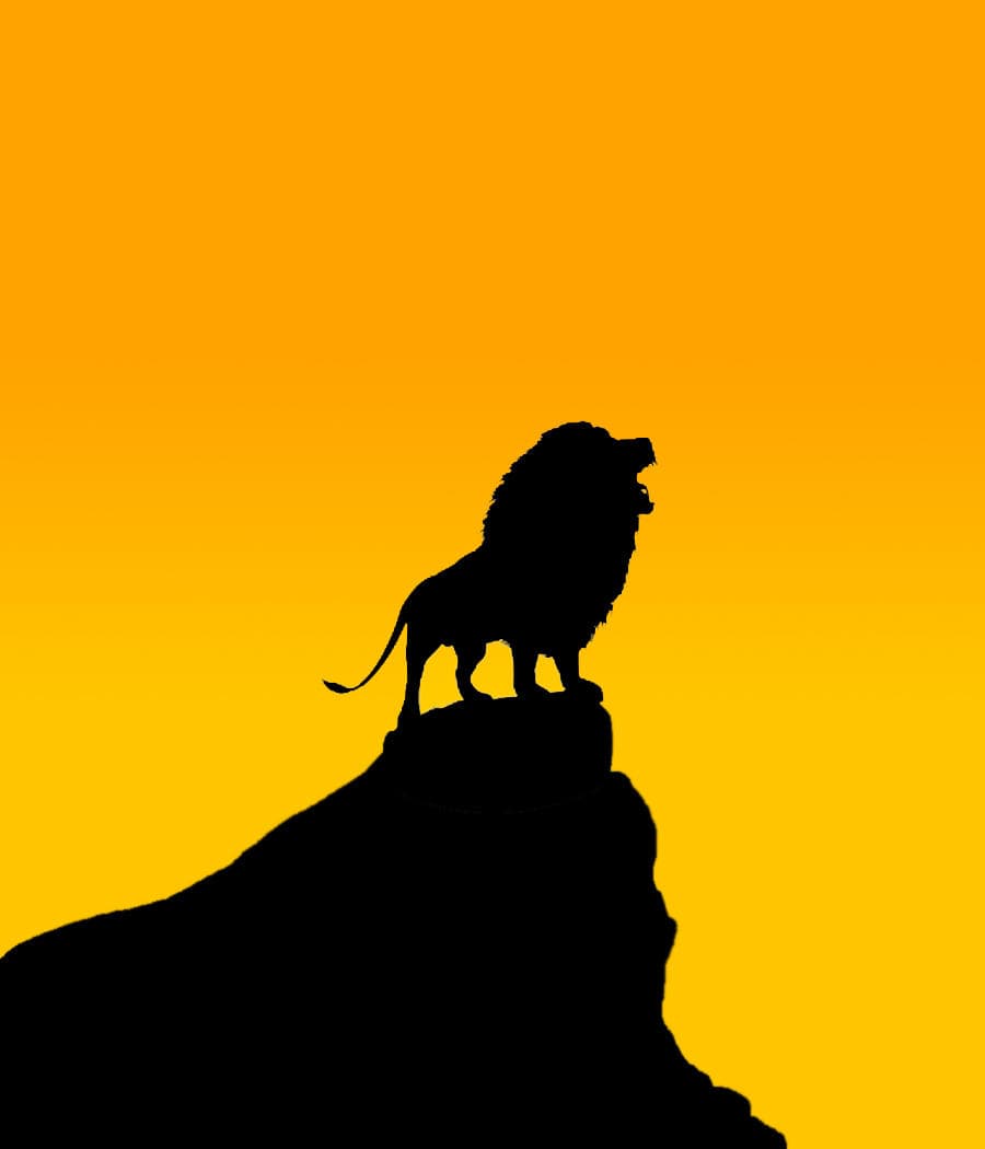 Wildlife & Scenery: Lion Tour in Cromwell