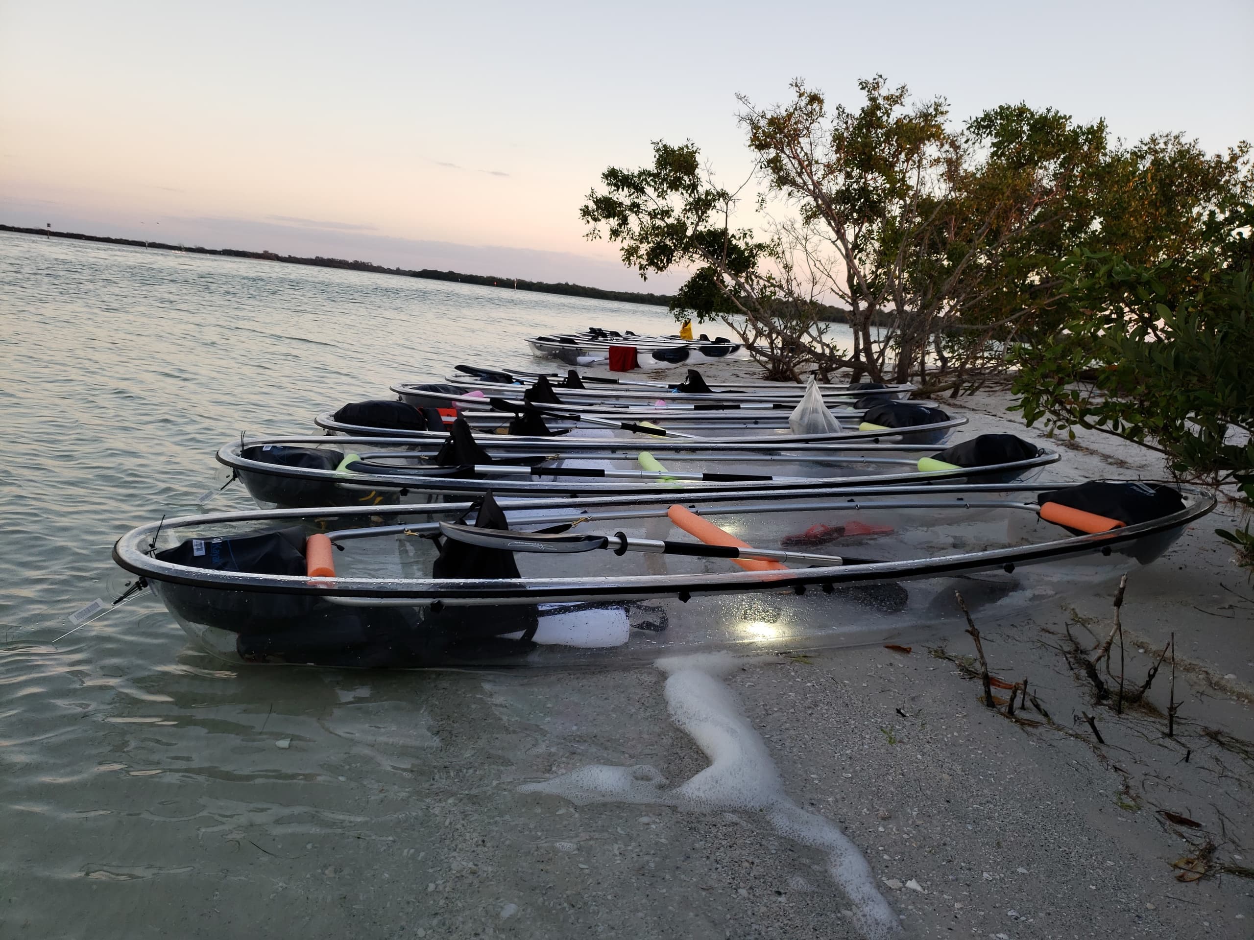 Coastal Kayak Charters team