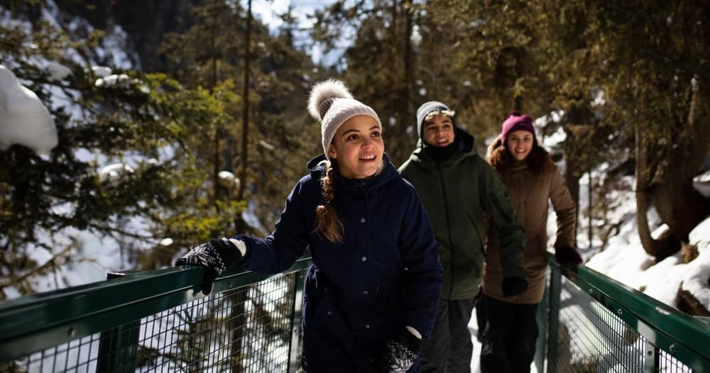 Winter Ice-Falls Adventure at Johnston Canyon with Radventures