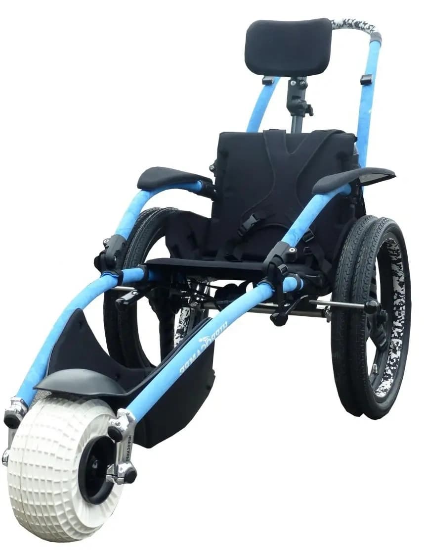 Hippocampe at UBC: Adaptive Wheelchair Hikes, Kayaks & Beach Access in Vancouver