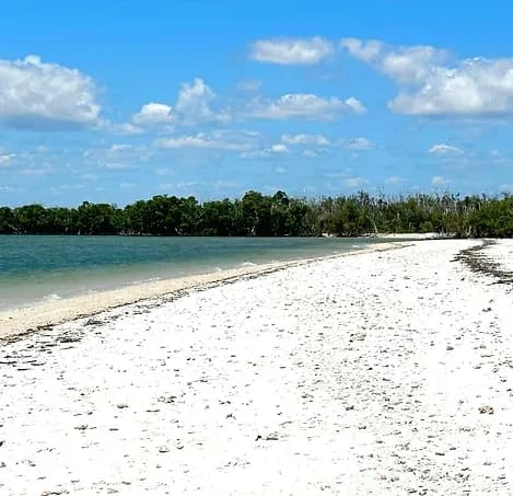 Beach and Shelling Excursion with Naples Boat Adventure in Florida