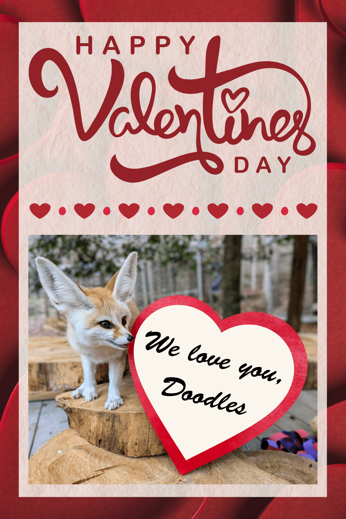 Share-a-Heart: Sponsor a Valentine's Message at North Georgia Zoo in Cleveland, GA photo 1