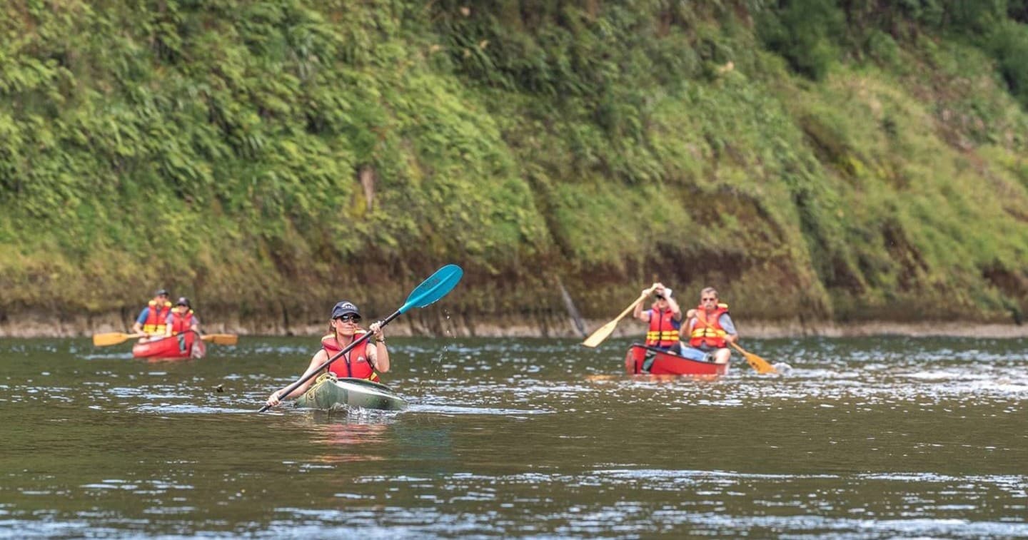 Jet Boating and Canoeing the Whanganui River: A 5-Hour Adventure from Pipiriki