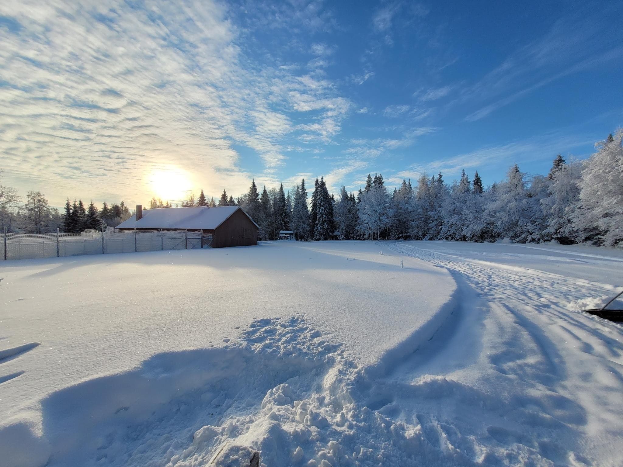 Lapland New Year: Husky Sledding & Northern Lights in Rentjärn photo 2