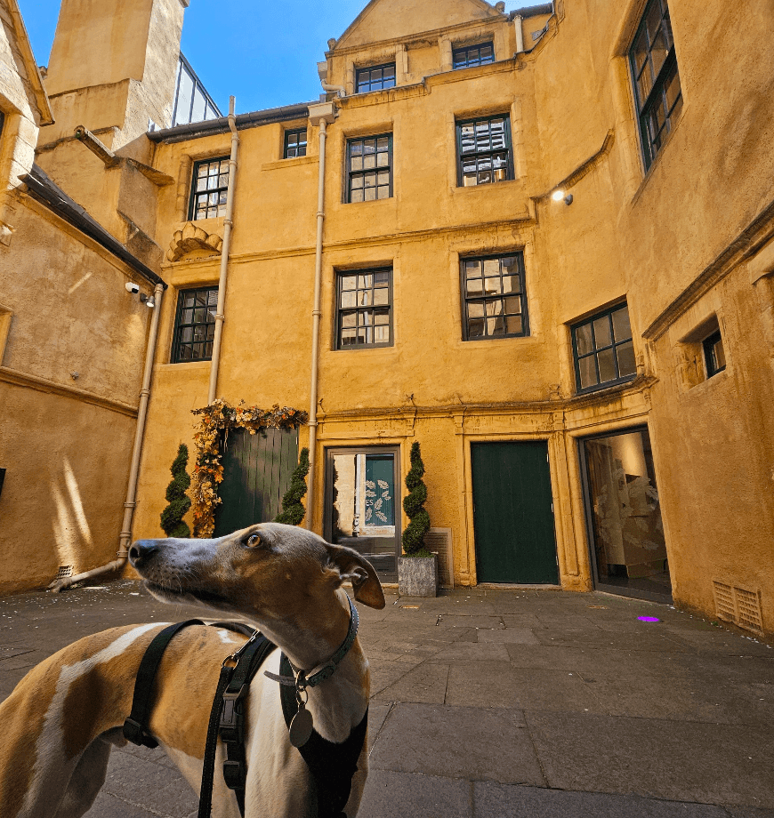 Historical Walking Tour of Edinburgh's Old Town with Thistle & Dram