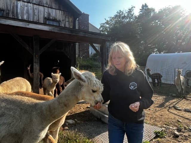 Walk an Alpaca in Princeton: Halter & Leading Experience at 313 Ball Hill Rd