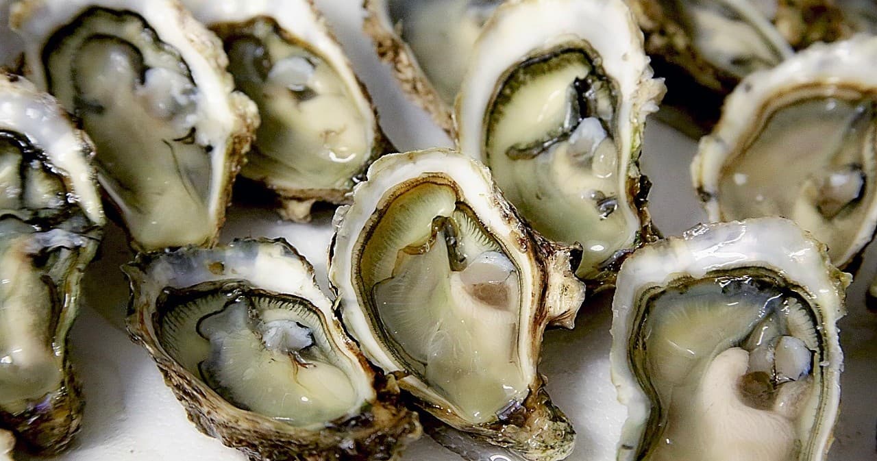 Water Activities & Wampum Public Nantucket Oyster Farm Tour