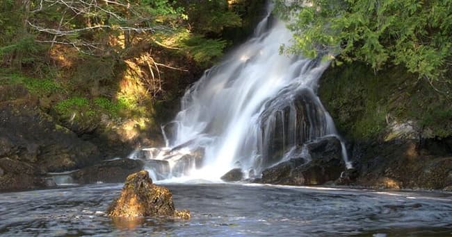 Ketchikan Quick-Stop: Scenic & Wildlife Tour from the Cruise Dock