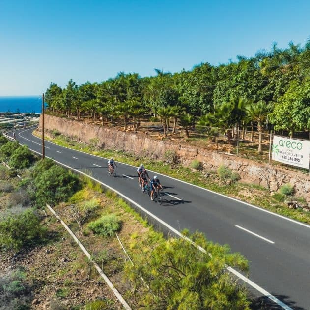 Cyclists riding coastal road past palms near Teide, Tenerife