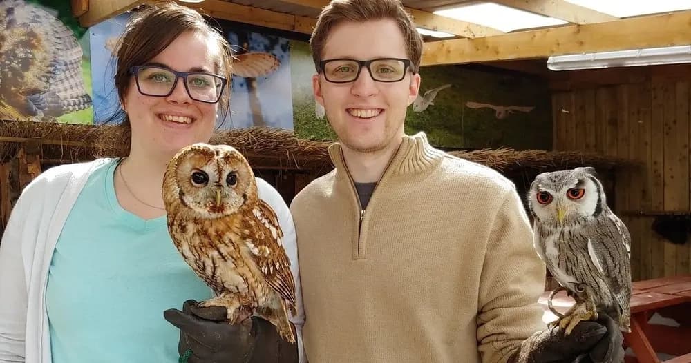 Up Close with Raptors: Mayfield Birds of Prey Centre Encounter in County Waterford