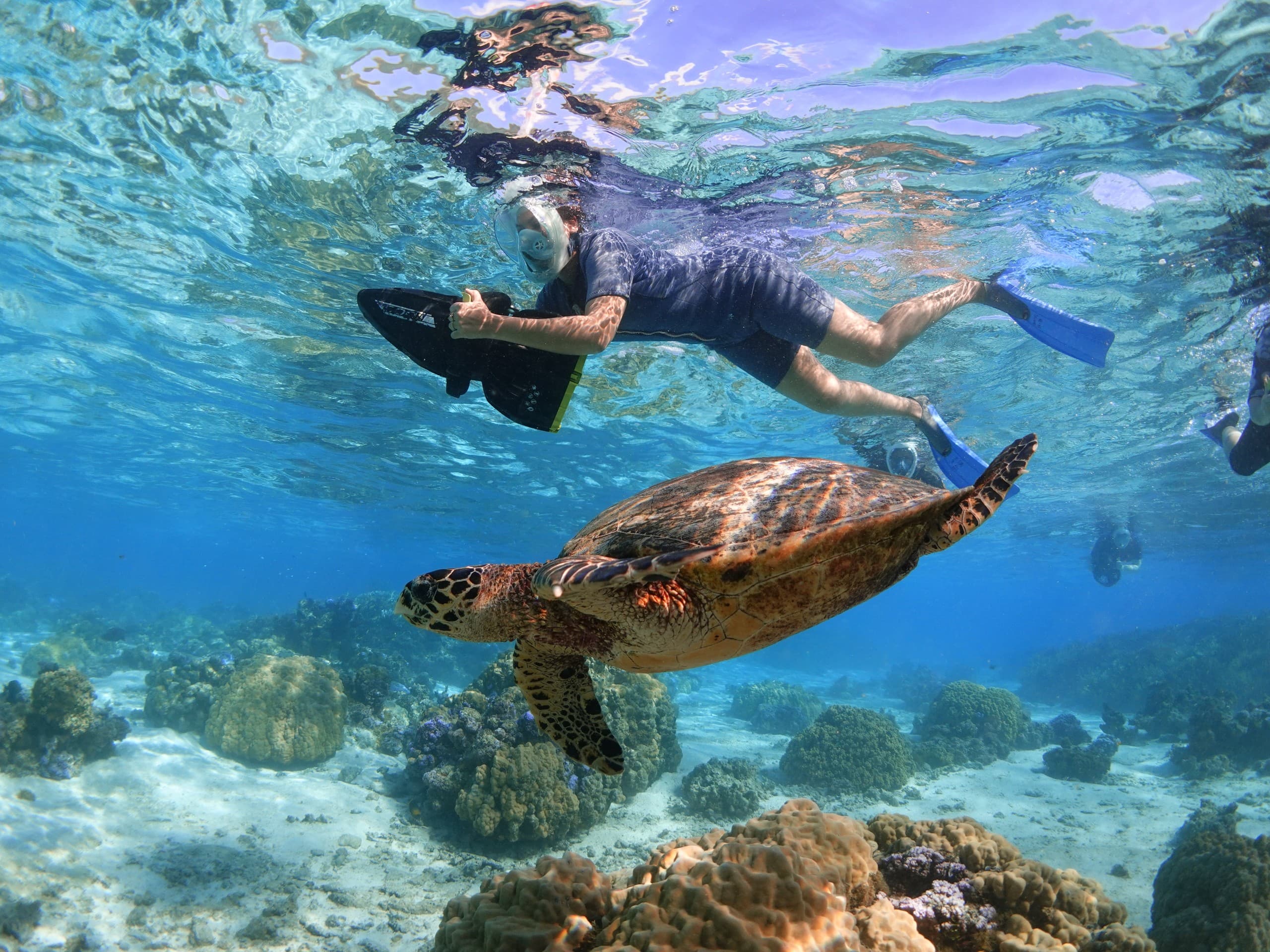 Underwater Sea Scooter Safari in Moorea: Jet Snorkel with Turtles & Rays photo 3