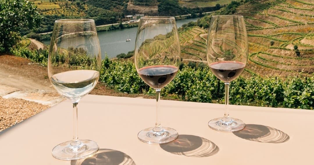 Douro Classic Wine Tour & Tasting | Guided Tour in Covas do Douro | Factory Tour, Wine