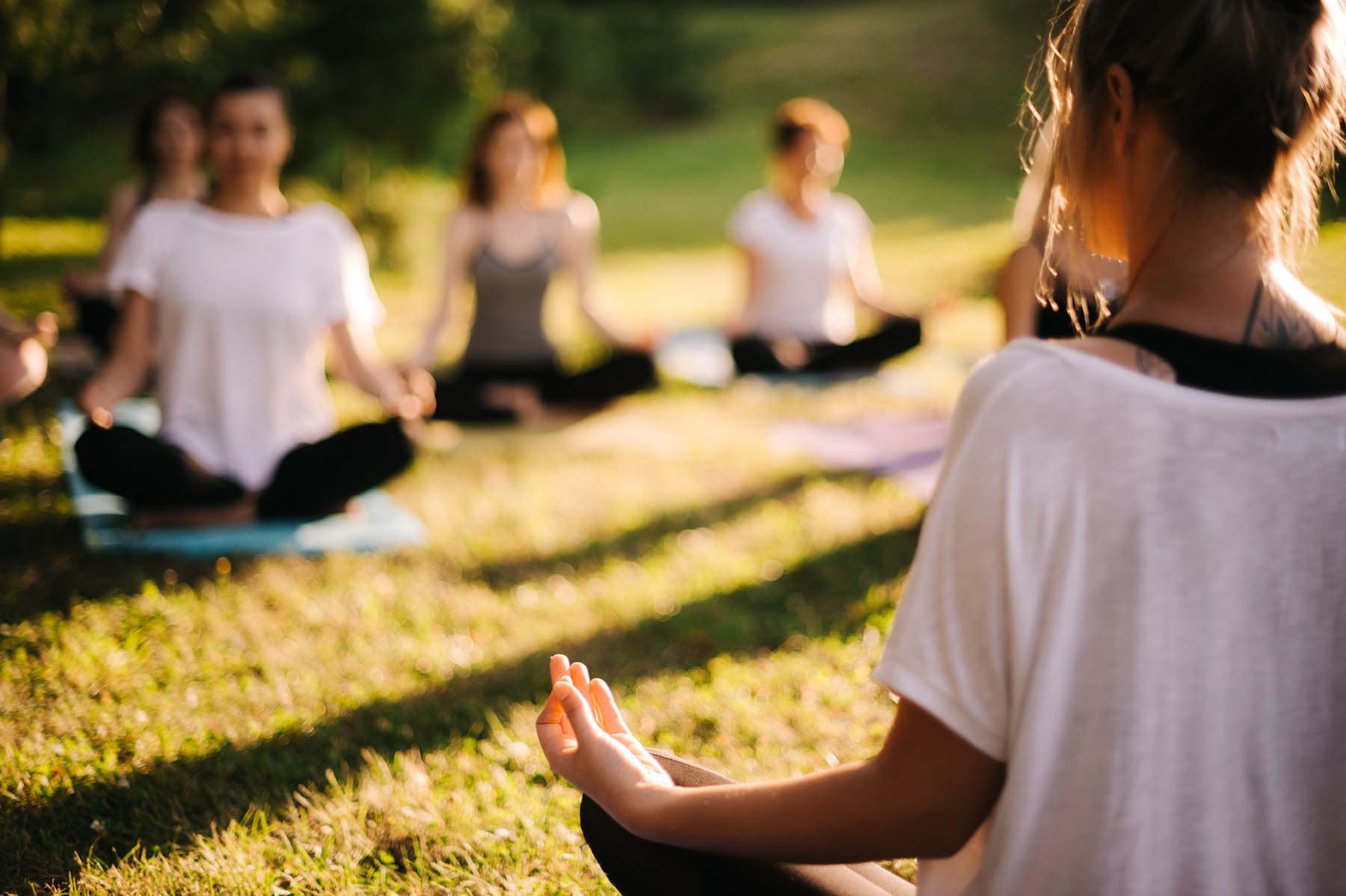 Outdoor group yoga session on sunlit grassy meadow at park