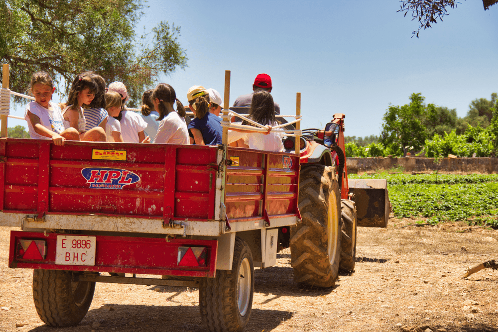 Farm & Nature: Tractor Tour in Fresopolis