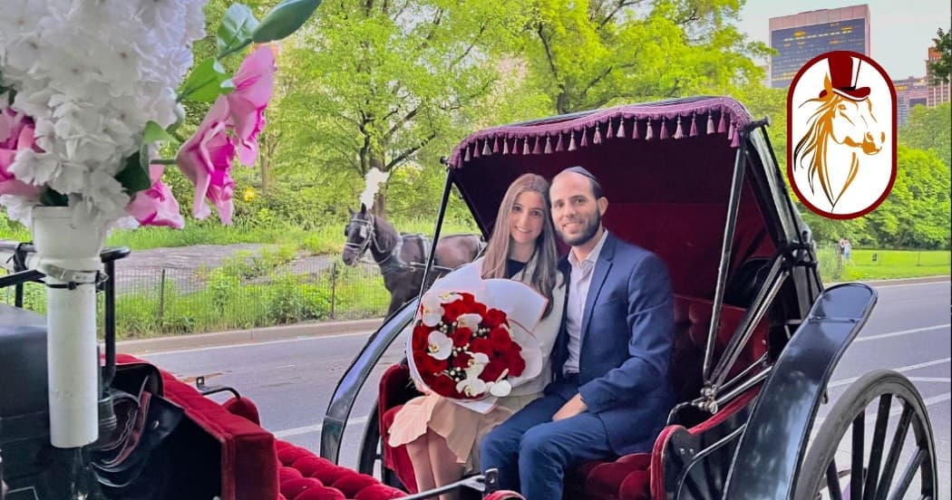 Central Park Celebration Rides | Top Hat NY Horse & Carriage