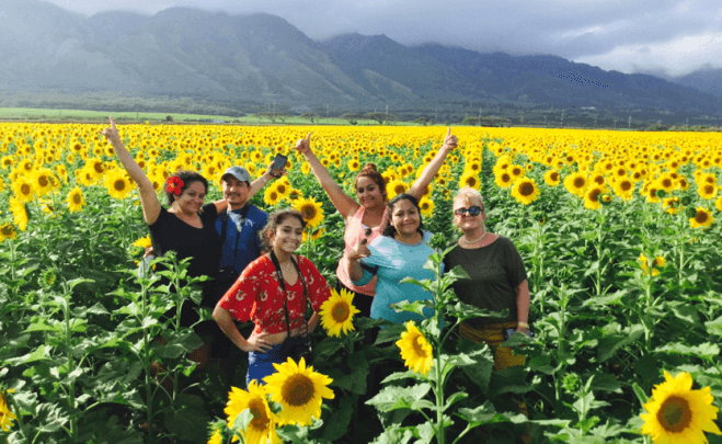 Exploring Maui’s Road to Hana: Black Sand Beaches, Waterfalls & Sea Turtles Adventure