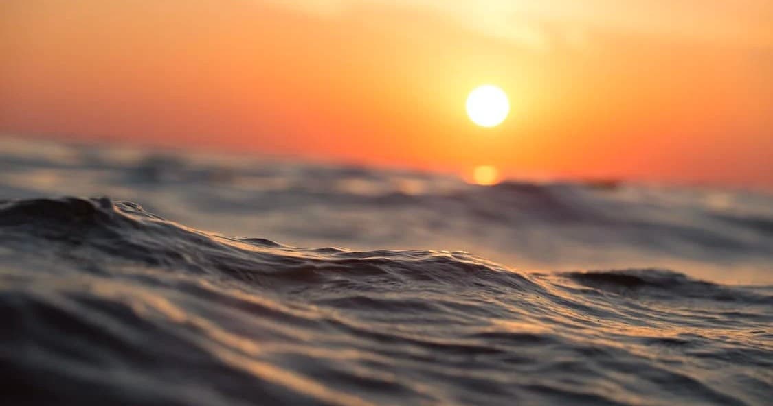 Custom Fishing Charter Experience in Brewster, Massachusetts: Tailored Ocean Adventures