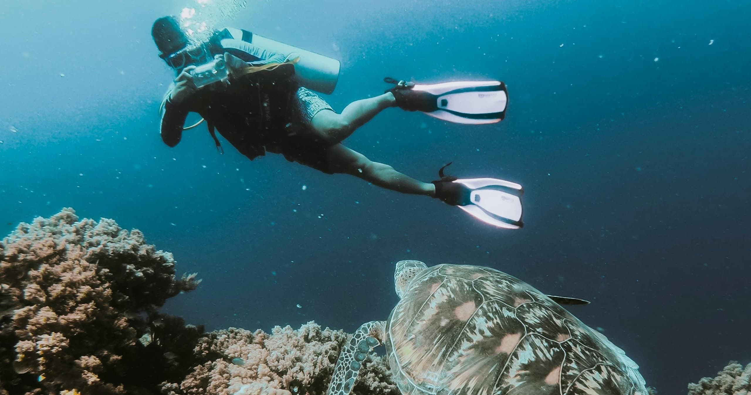 Sea Fox 4 Hour Dive Adventure in Stock Island, Florida