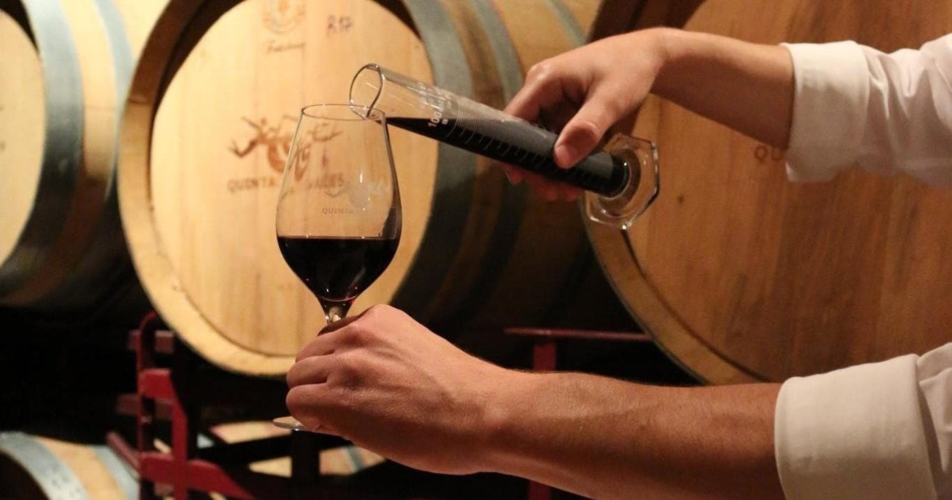 Wine-Tasting & Blending with Algarve Bottle Blending Workshop