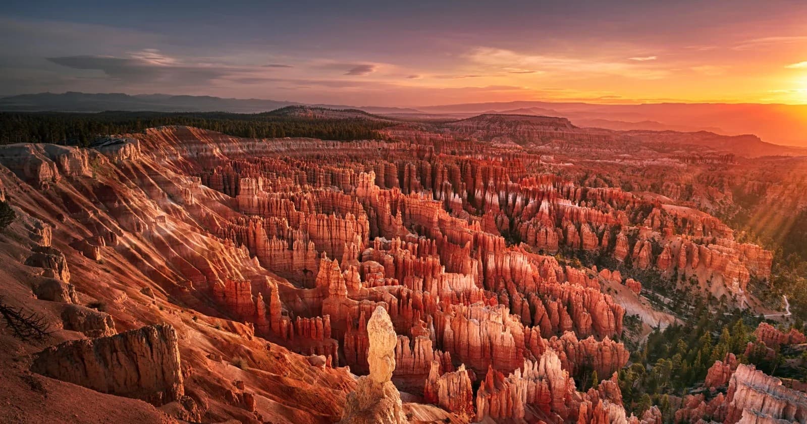 Zion and Bryce Canyon Tours from Las Vegas