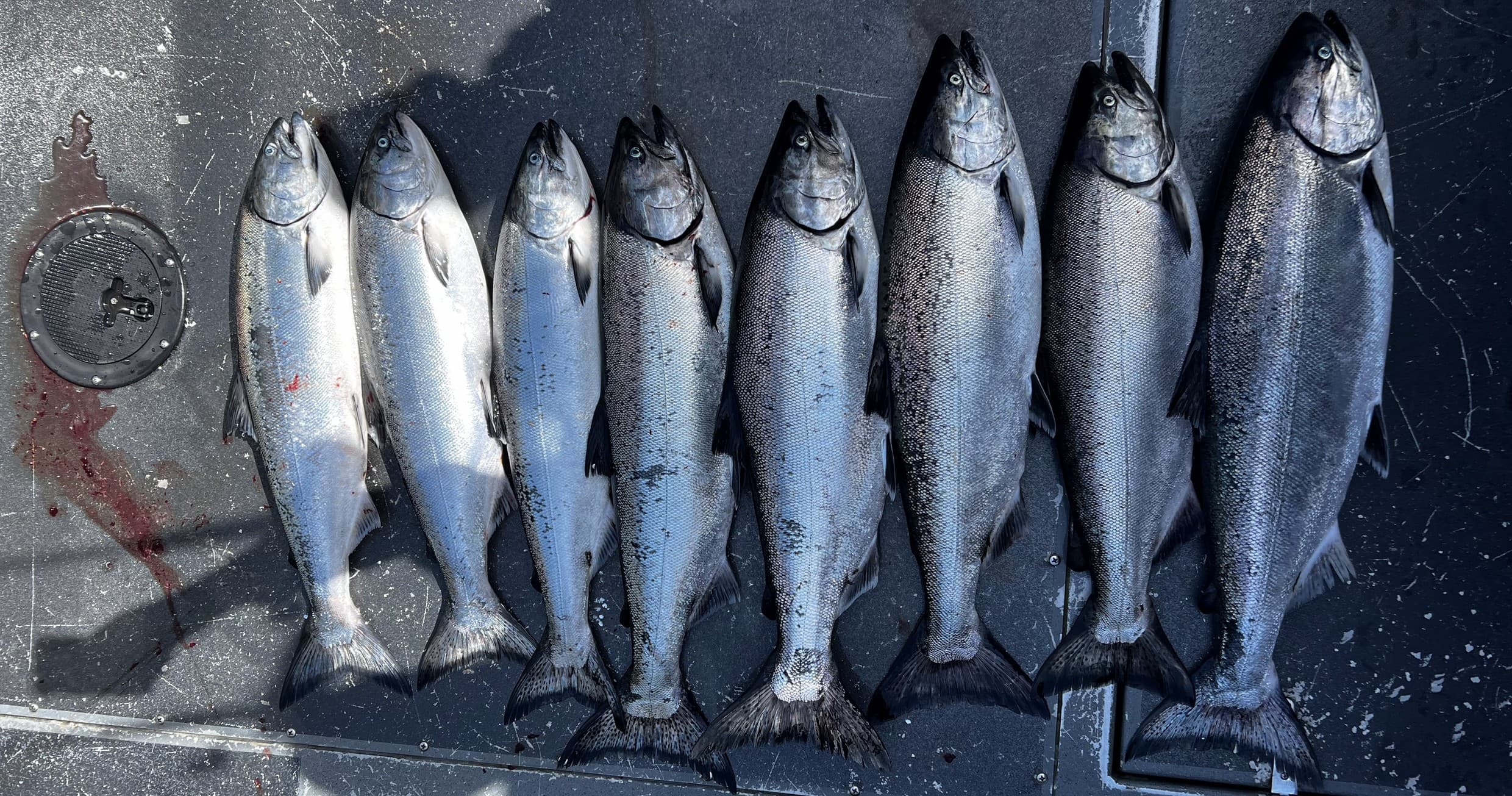 Sitka Expeditions team