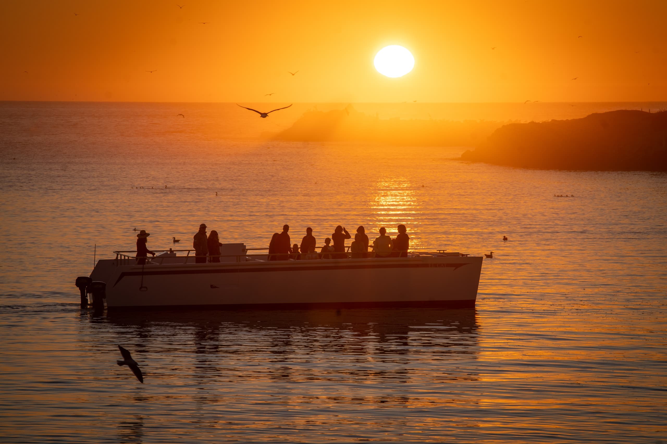 Sunset Catamaran Tours on Elkhorn Slough, California