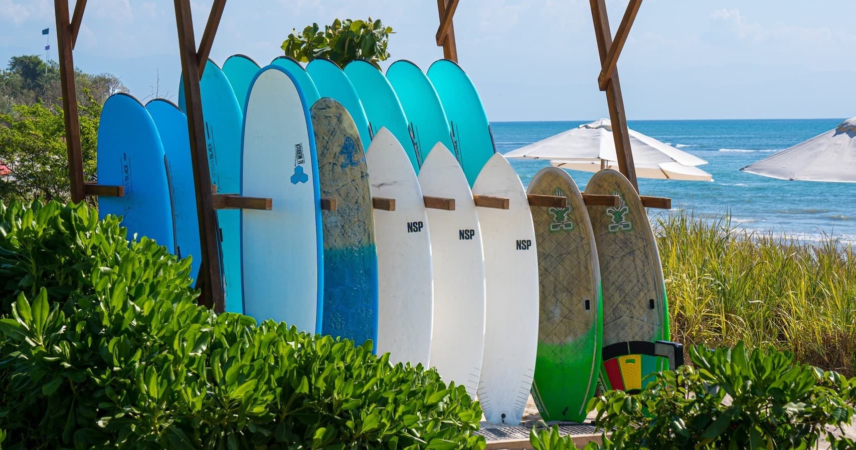 Stand-Up Paddleboarding with Surf Mexico in Mexico