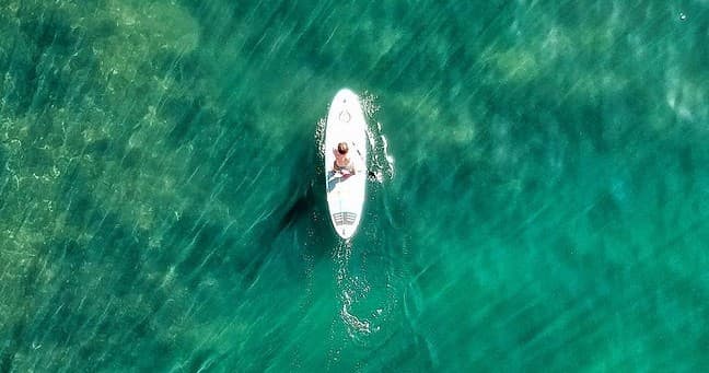 Kayaking Adventures with Comox Valley Kayaks & Canoes in Courtenay