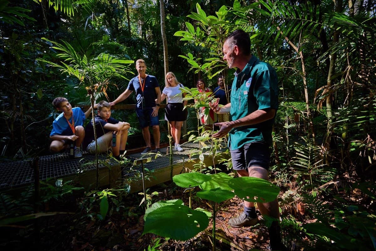 Explore the Daintree Rainforest Discovery Centre: River Cruises, Canopy Walks & Crocodile Spotting photo 3