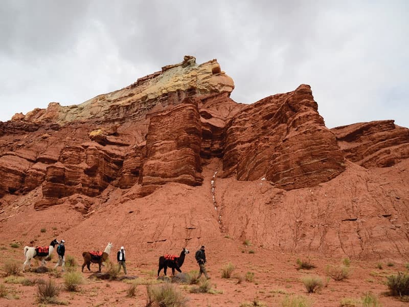 4 Hour Llama Trek in Torrey, Utah's Stunning Wilderness