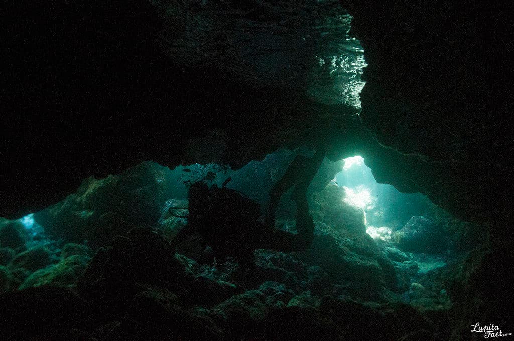 Night Dive Adventures with Pura Vida Diving in Las Palmas