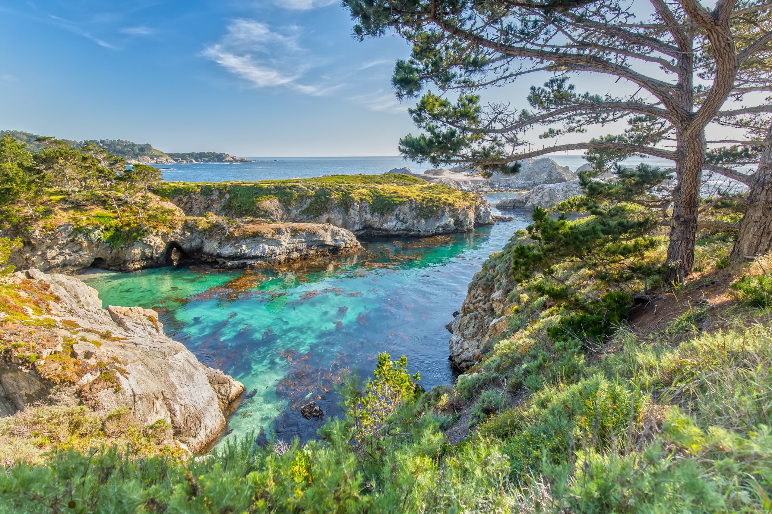 Point Lobos Dive Tours: Explore Monterey Bay’s Underwater Wonders