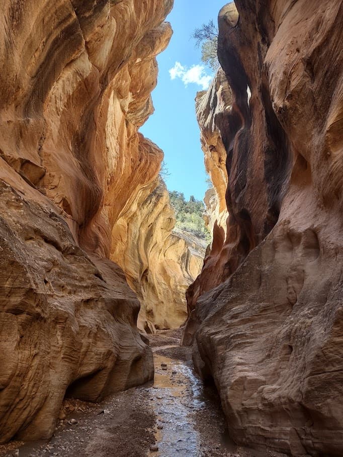 Utah Slot Canyon Hiking Adventure in Kanab