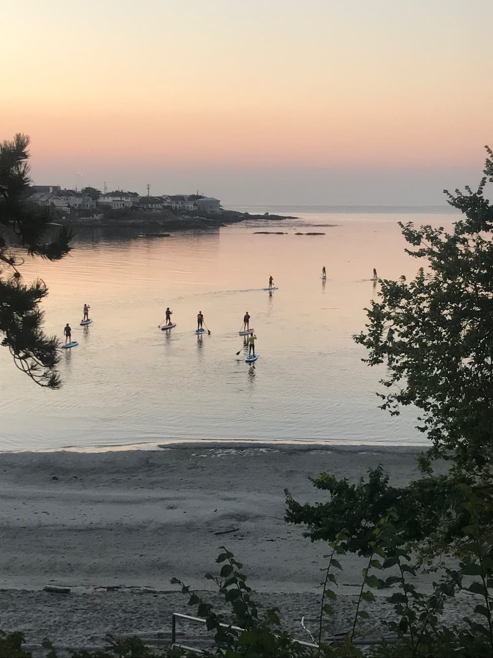 Team Building Paddle with South Island SUP in Victoria