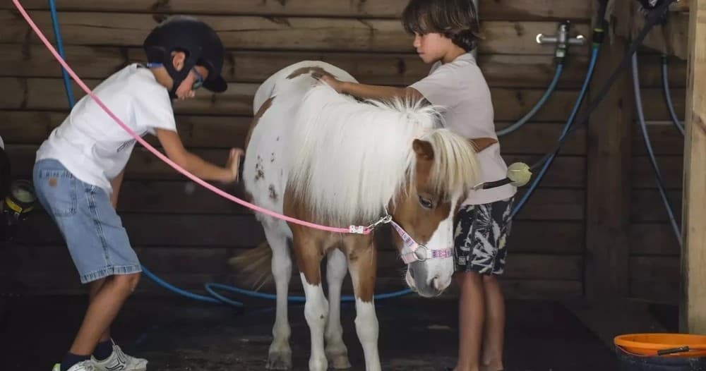 Land Adventures with Pony Ride in Bucelas
