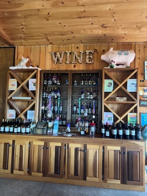 Sip Through Polk County: The Foothills Winery Tour in Columbus, NC photo 3