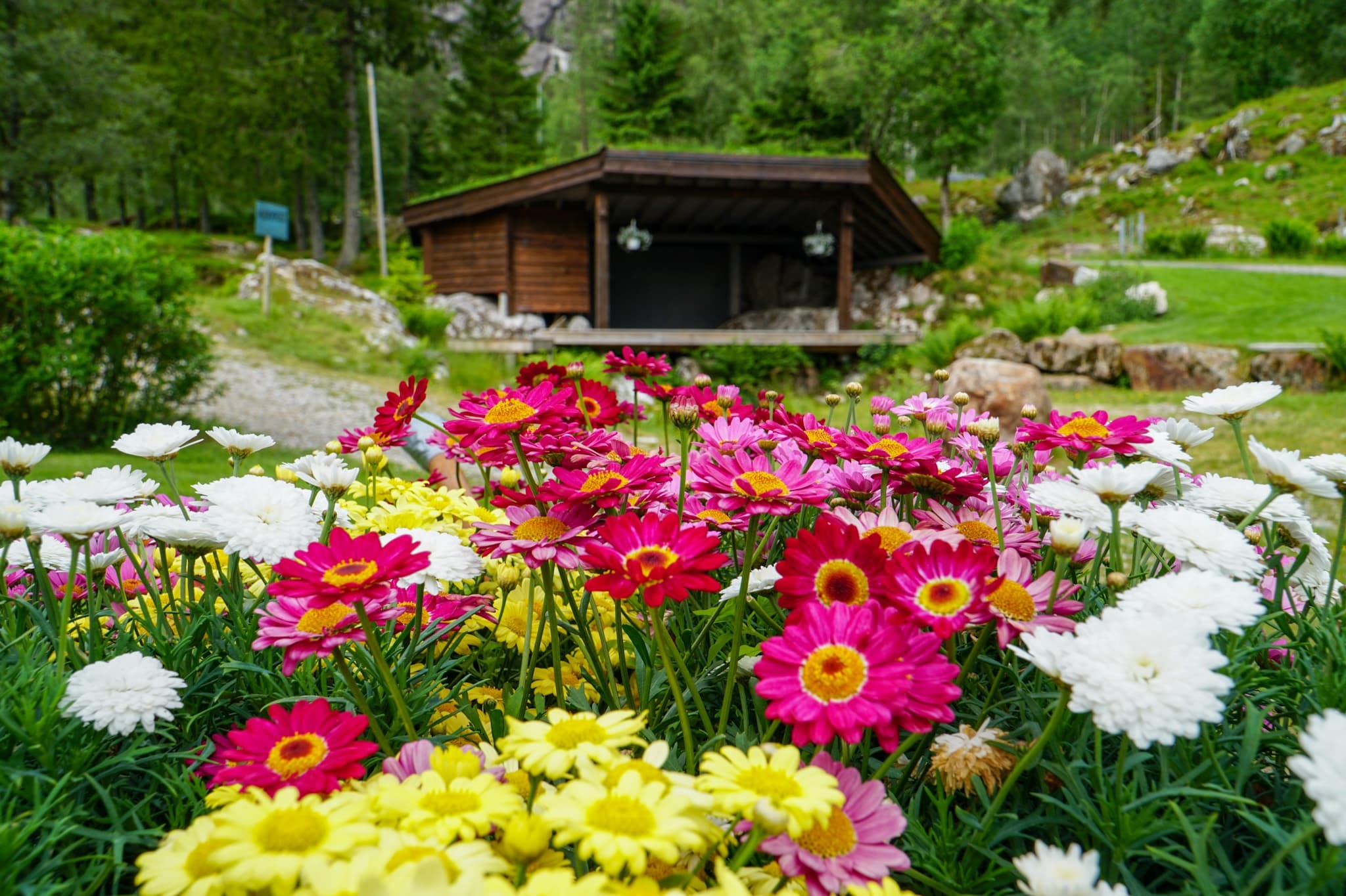 Wildlife & Camping at Sirdal Huskyfarm