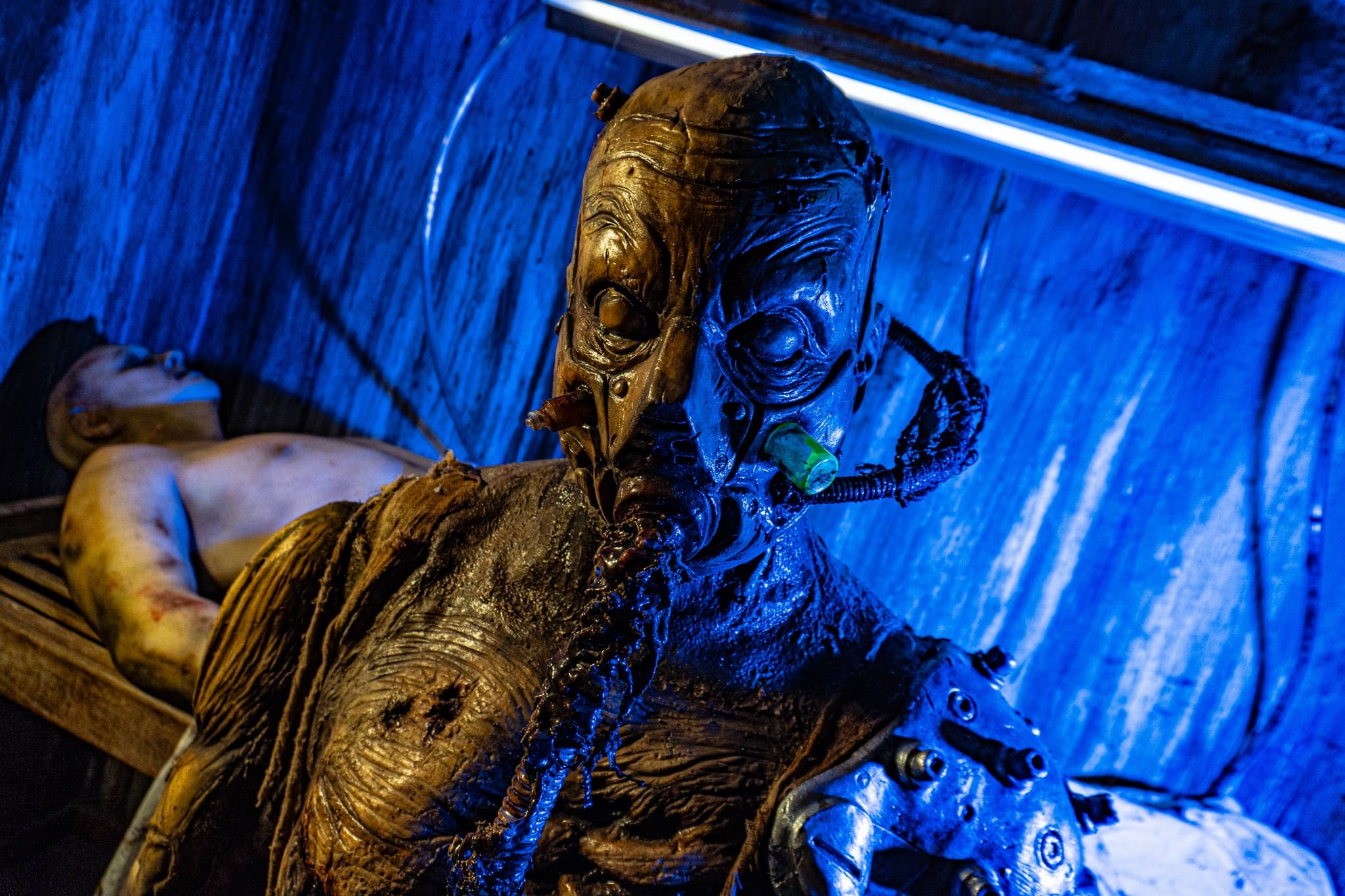 7 Gates Screampark: Western New York’s Ultimate Haunted Attraction Experience