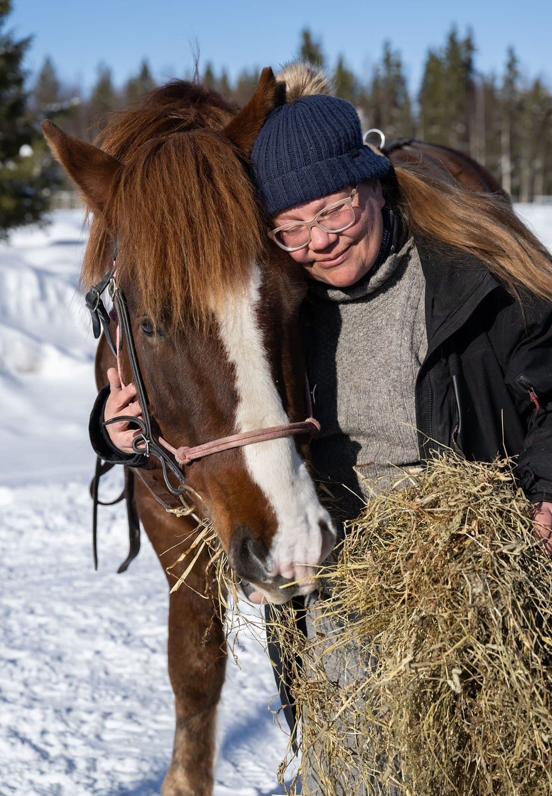 Person feeding and bonding with an Icelandic horse in snowy paddock
