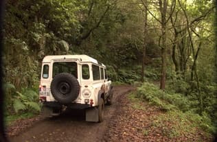 Outdoor Adventure with Bravelanders' Private North Tour from Funchal