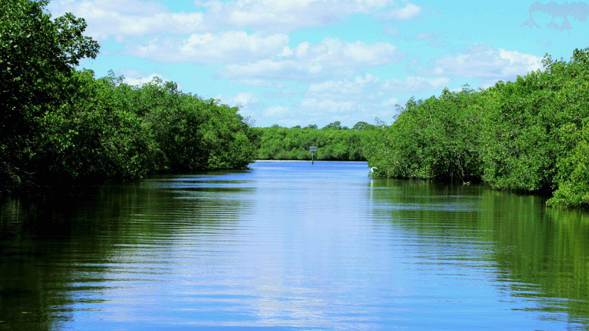 Treasure Coast River Cruises fleet