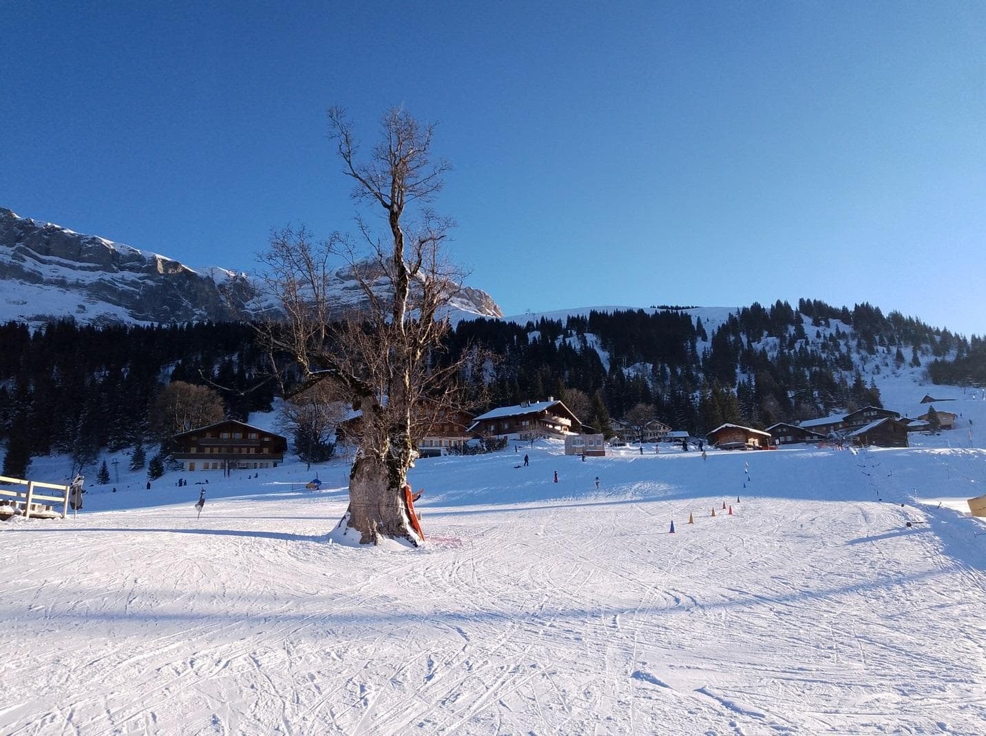 Learn to Ski in Interlaken: Half-Day Private Beginner Experience in the Bernese Alps photo 1