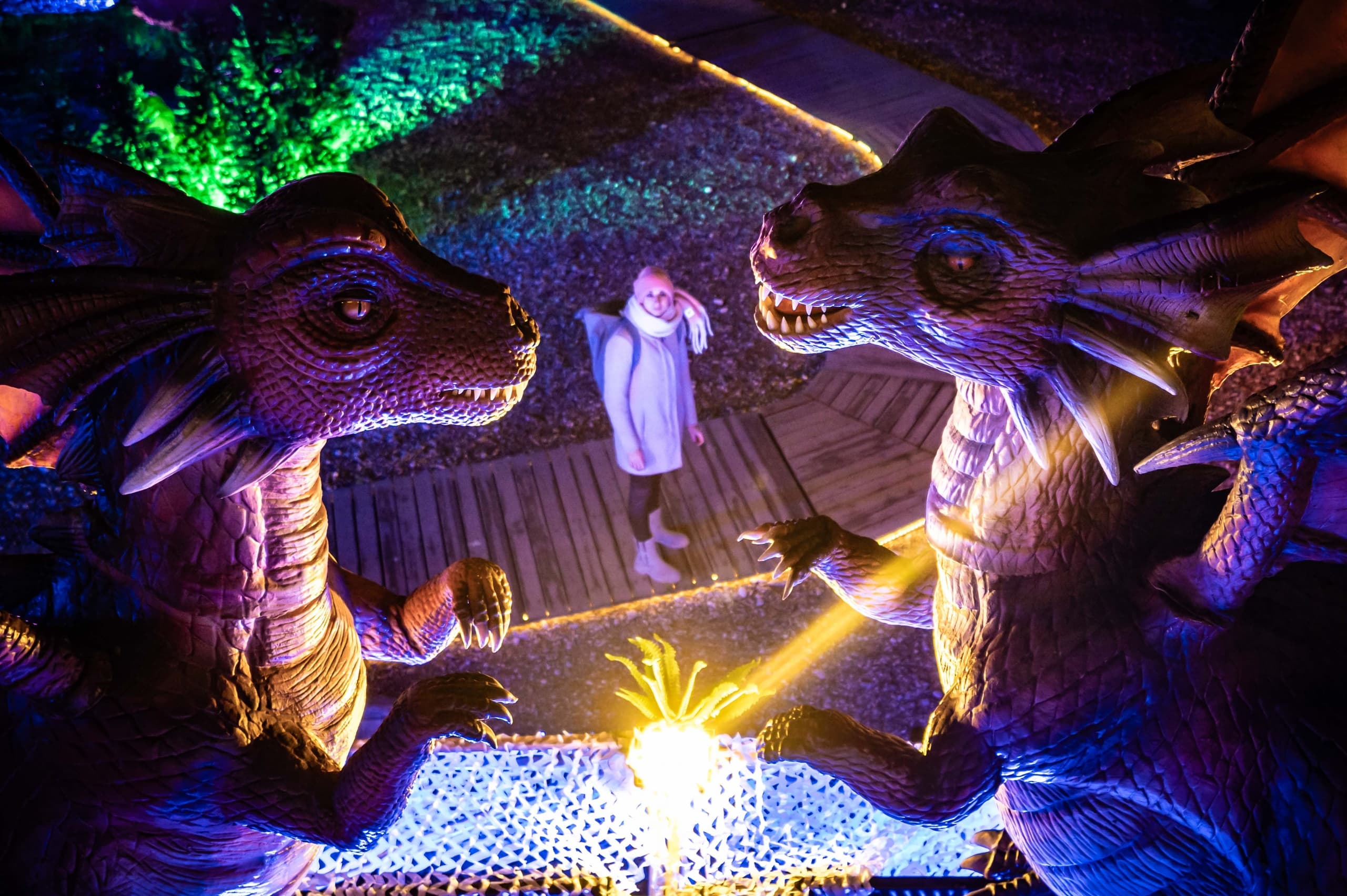 Game of Dragons — Munich Dragon Light Park: 60-Minute Family Night Walk photo 2