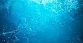 Advanced Scuba Diving with Tilden's Scuba Center in Marathon