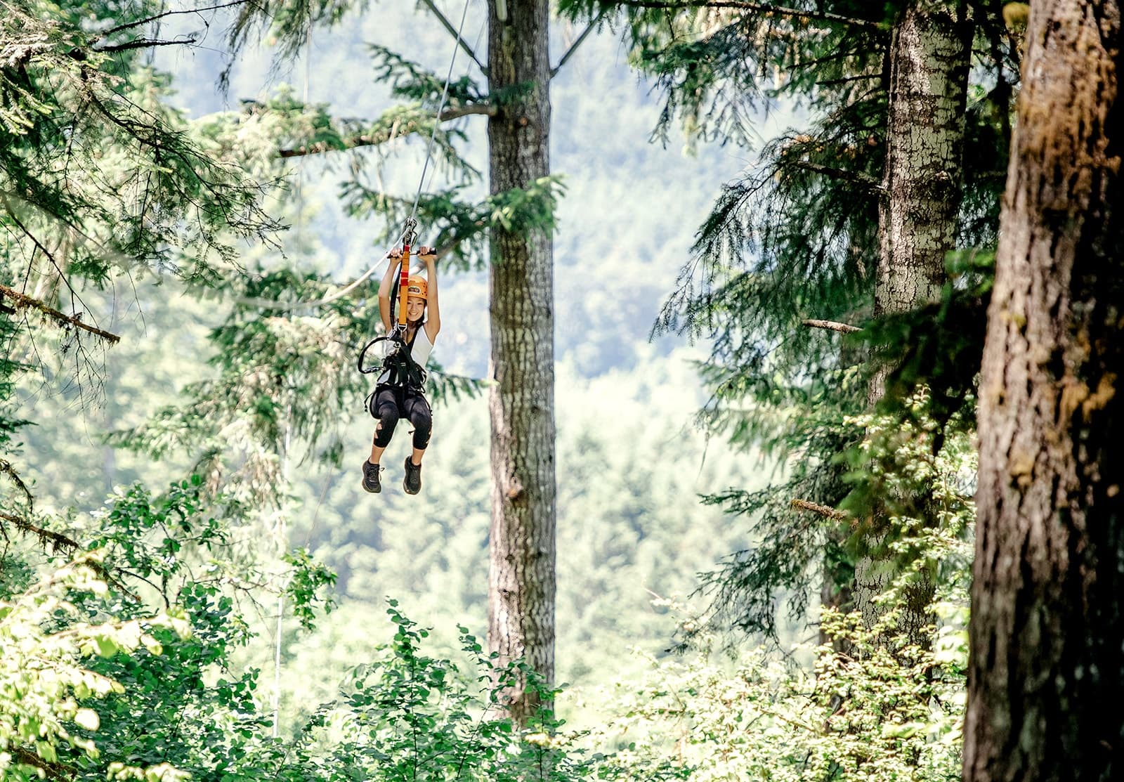 Person ziplining through dense evergreen forest canopy