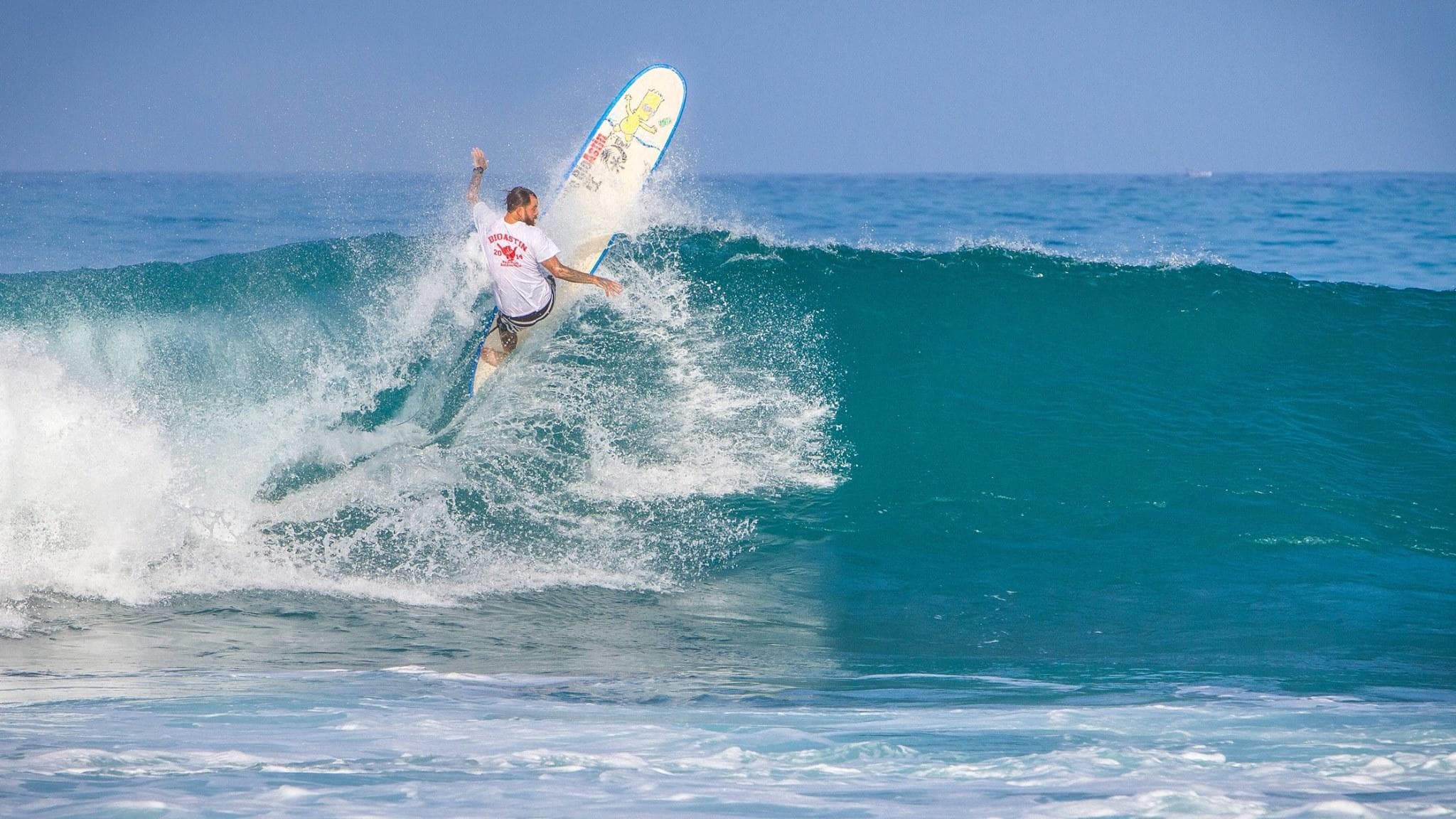 Kona Town Surf Adventures fleet