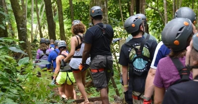 Guided forest trek with helmeted participants on adventure tour