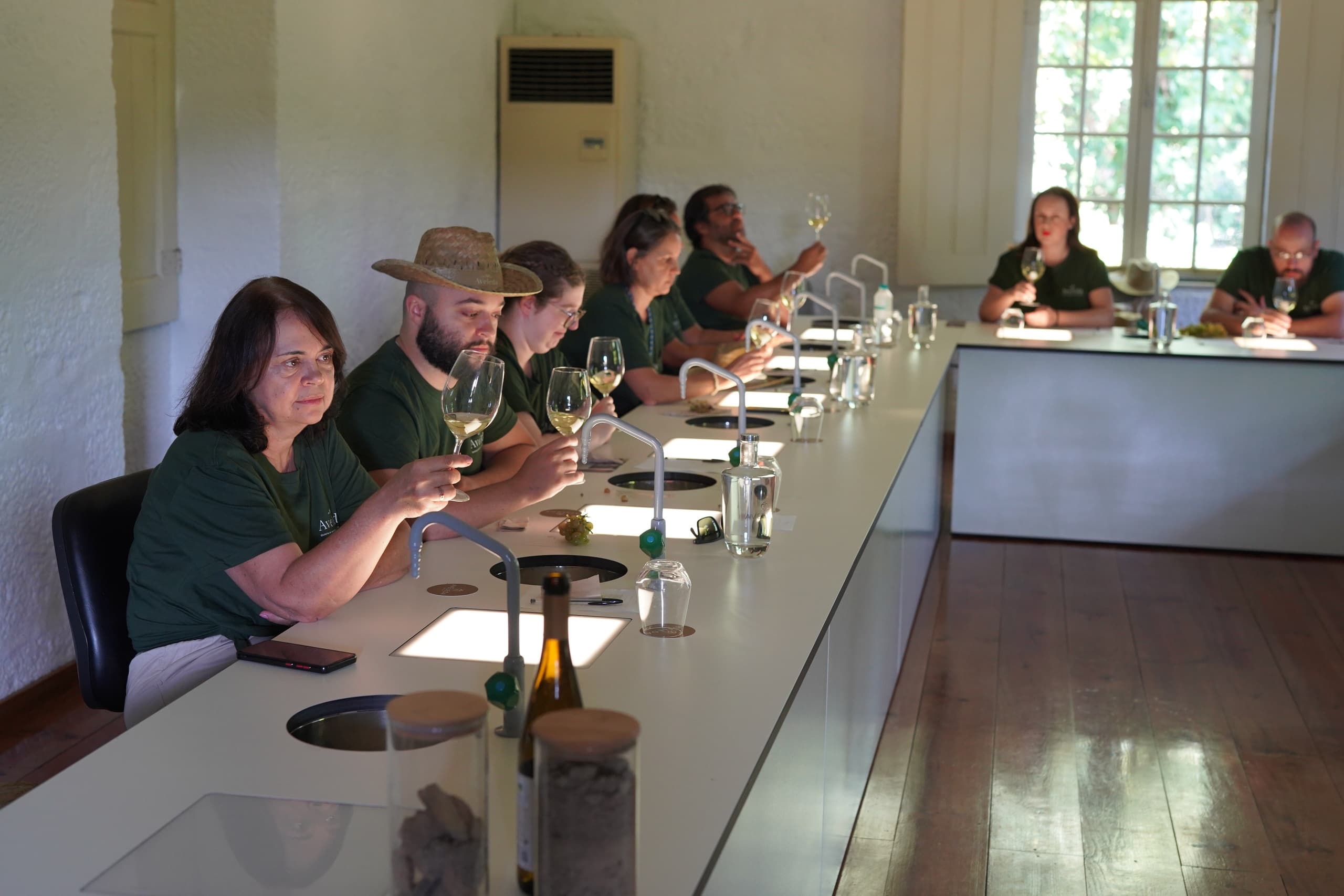 Wine Tasting & Education at Quinta da Aveleda in Portugal