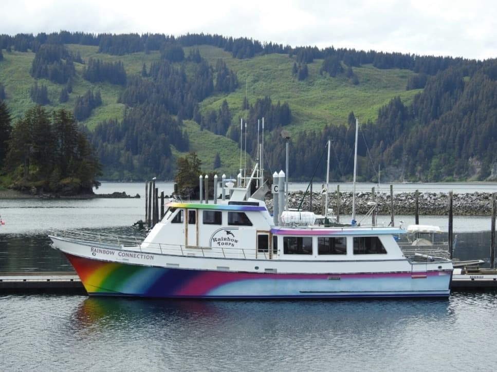 Wildlife & Whale Watching with Seldovia Wildlife Tour
