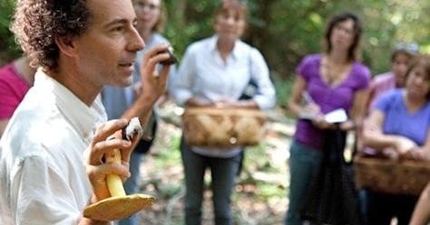 Foraging group inspecting wild mushrooms in forest workshop